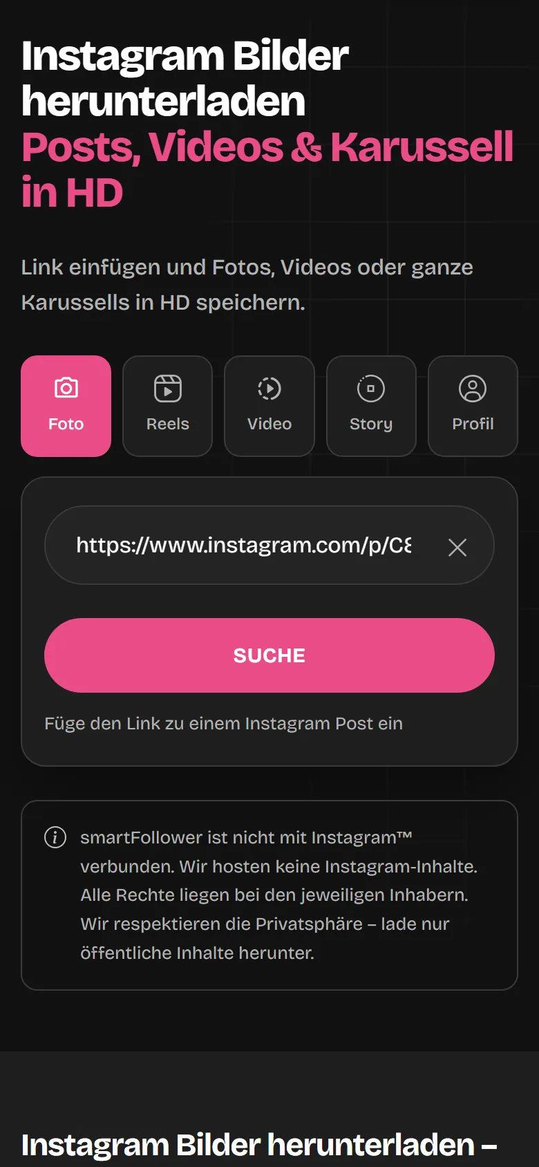 Die Post-Downloader-Seite mit eingefügtem Instagram-Link