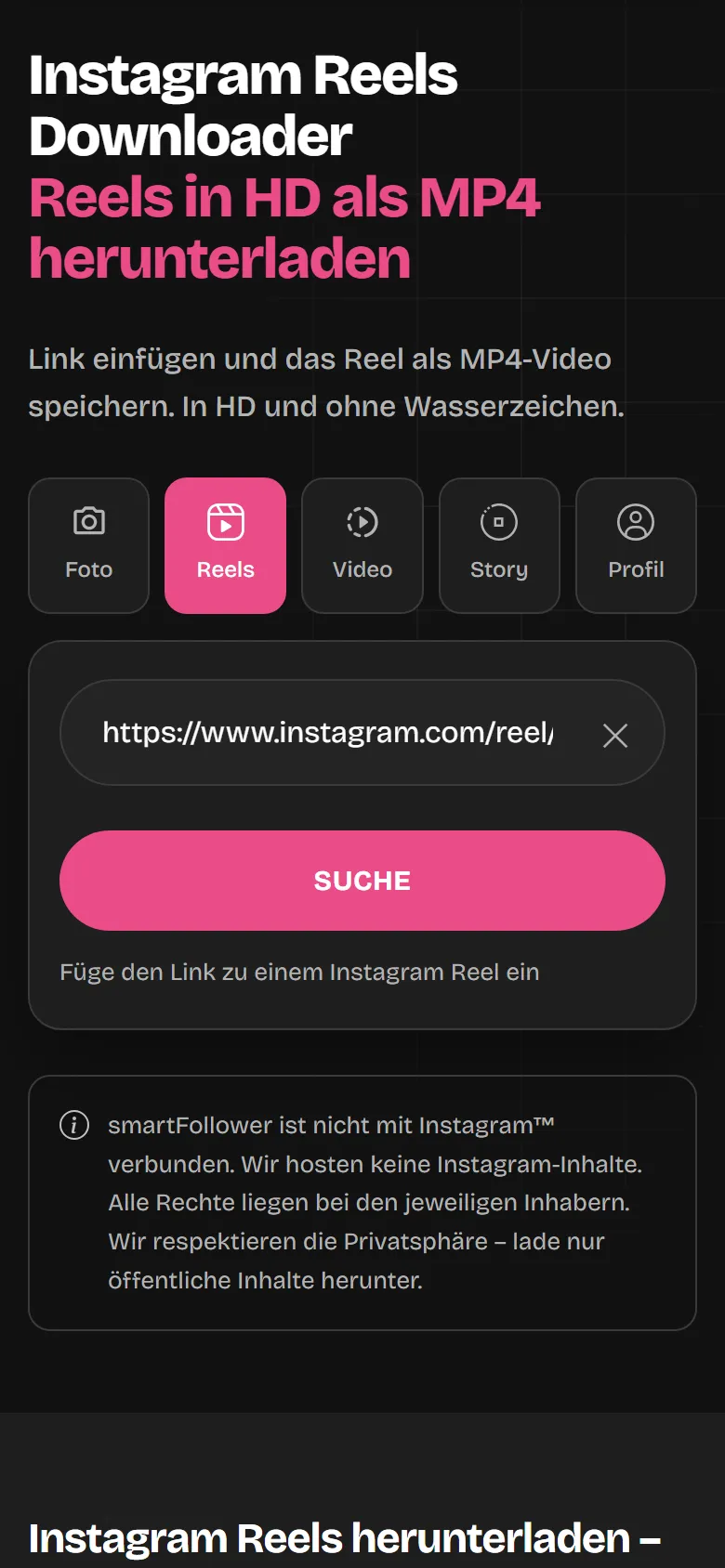Die Reel-Downloader-Seite mit eingefügtem Instagram-Link