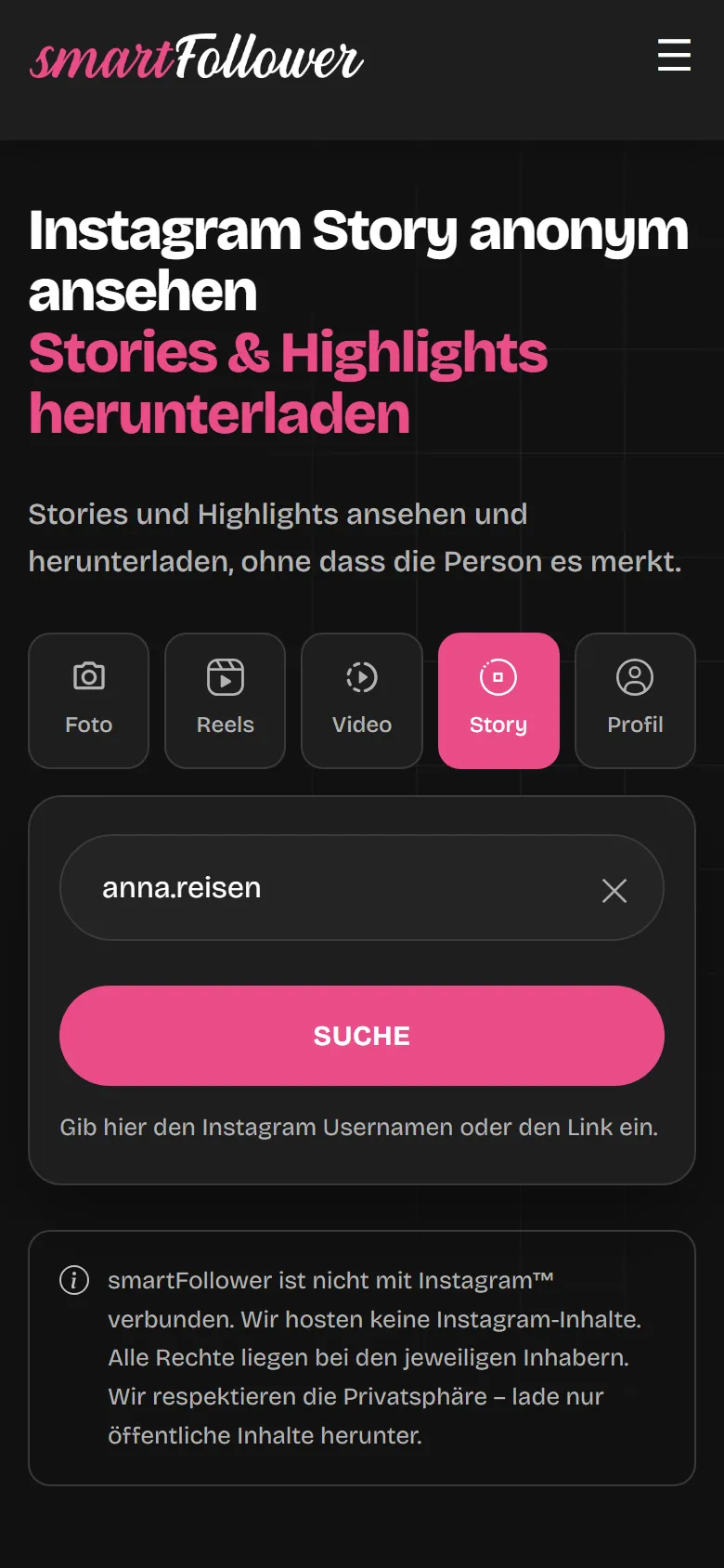 Die Story-Downloader-Seite mit eingegebenem Benutzernamen