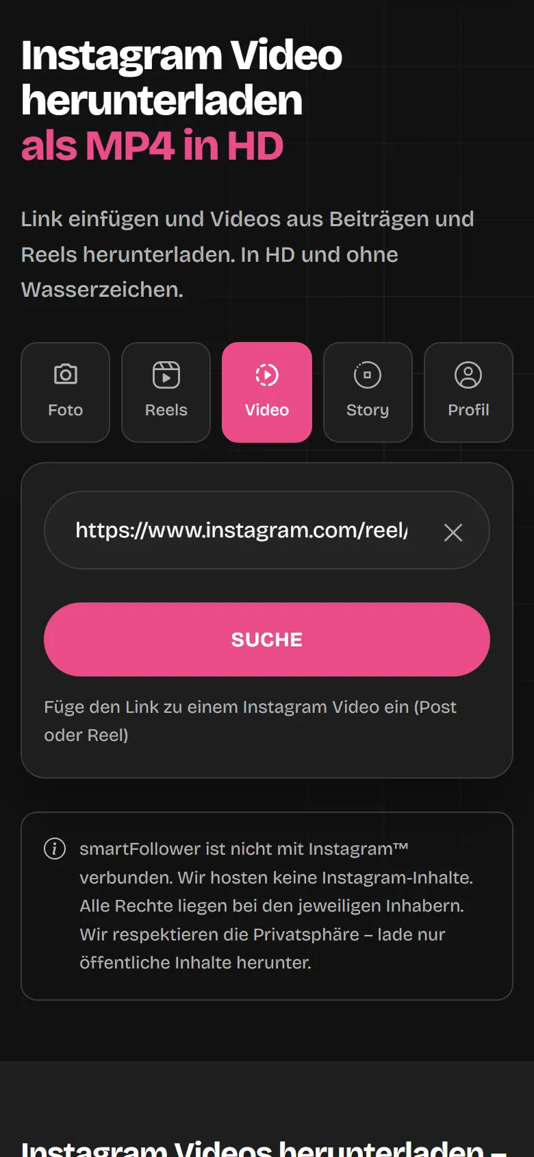 Die Video-Downloader-Seite mit eingefügtem Instagram-Link