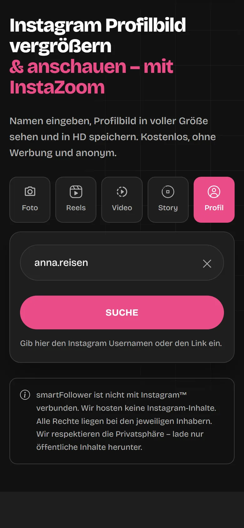 Die InstaZoom-Seite mit eingegebenem Benutzernamen