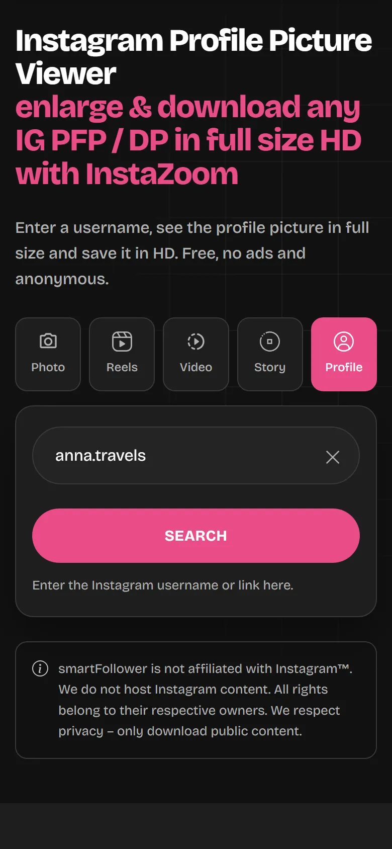 The InstaZoom page with a username entered